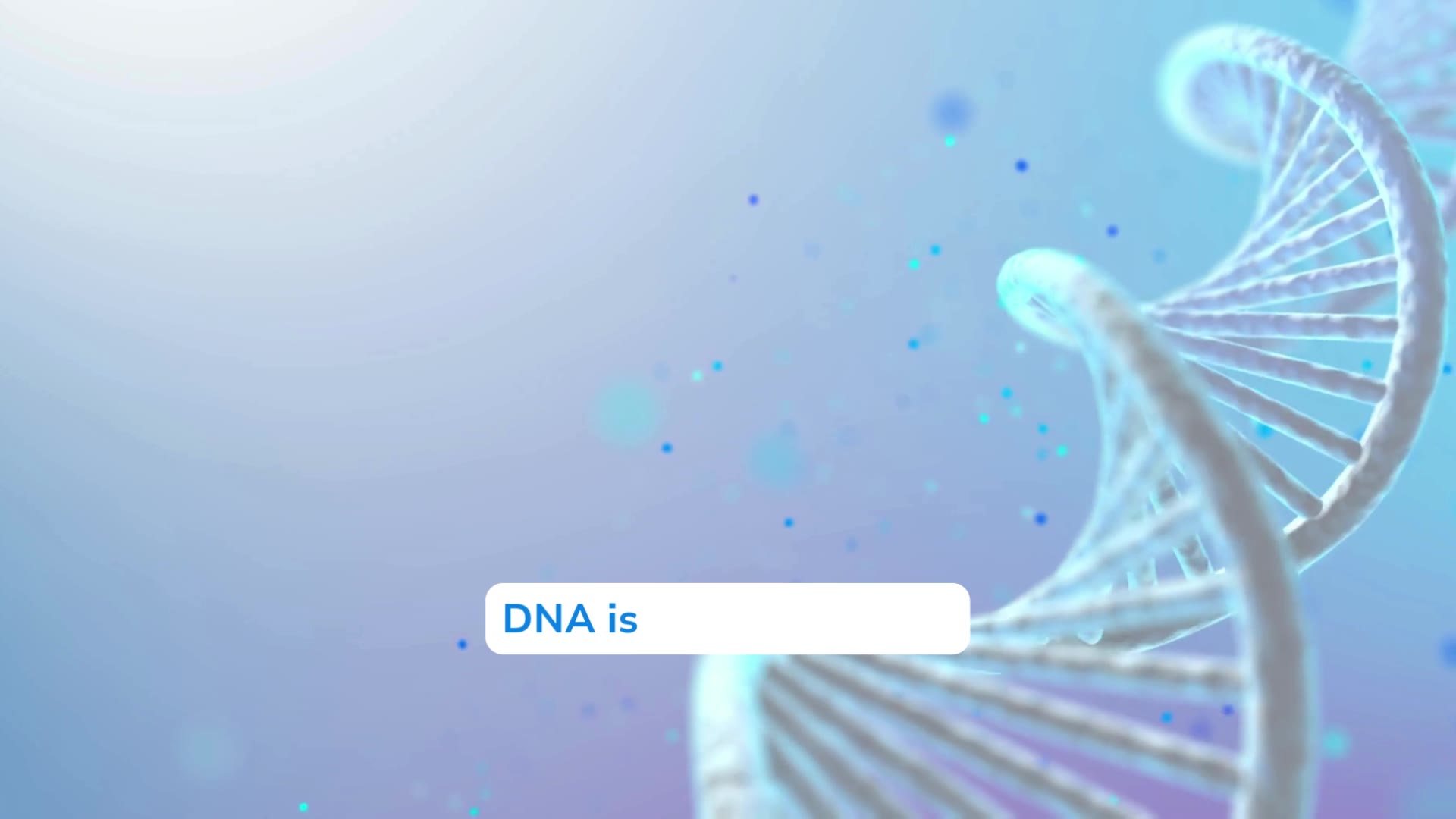 What is DNA